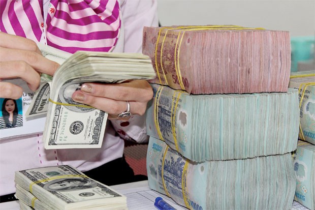 Tín dụng ngoại tệ giảm: Mừng hay lo? ảnh 1