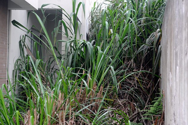 Hàng trăm biệt thự tại Khu đô thị Văn Phú bị bỏ hoang ảnh 5