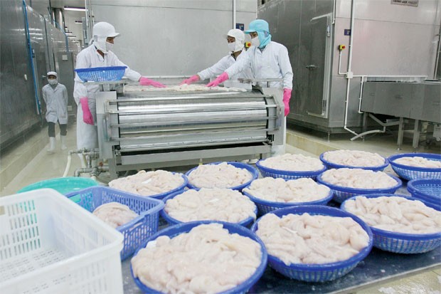 VASEP sẽ bảo vệ DN thủy sản Việt Nam tới cùng ảnh 1 VASEP sẽ bảo vệ DN thủy sản Việt Nam tới cùng ảnh 1