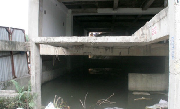 Biệt thự triệu đô thành ao cá, chuồng gà ảnh 1