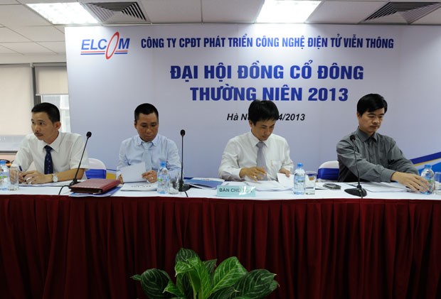 ELC đặt muc tiêu lợi nhuận 132 tỷ đồng trong năm 2013 ảnh 1