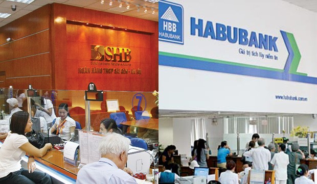 Thương hiệu Việt tan vỡ: Sự biến mất của Habubank ảnh 1