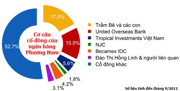 Đại gia bí ẩn ngành ngân hàng ảnh 3