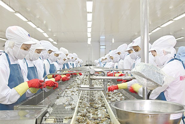 Minh Phú hủy niêm yết, chiều lòng NĐT ngoại ảnh 1 Minh Phú hủy niêm yết, chiều lòng NĐT ngoại ảnh 1