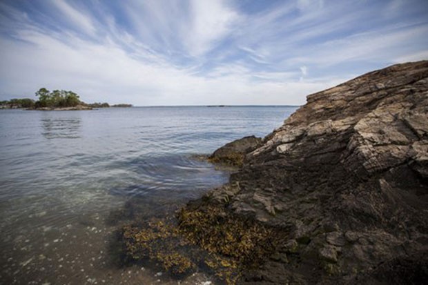 Biệt thự đắt nhất nước Mỹ giá gần 200 triệu USD ảnh 4 Biệt thự đắt nhất nước Mỹ giá gần 200 triệu USD ảnh 4