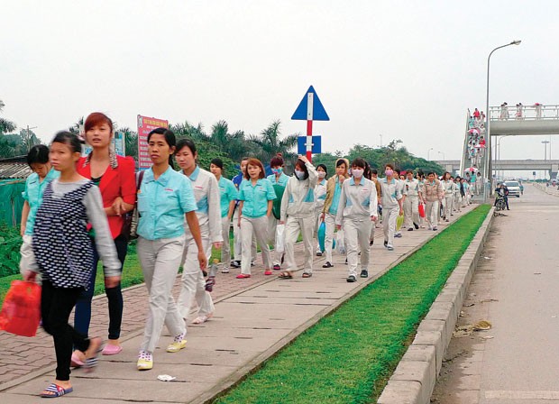 Bảo hiểm “kêu khó” về chính sách thuế  ảnh 1