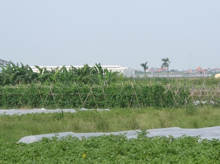 Choáng với cảnh hoang vu "siêu đô thị" Mê Linh ảnh 2