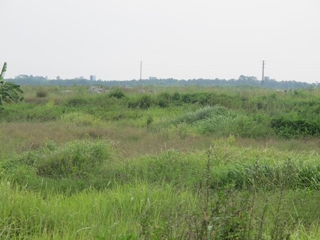 Choáng với cảnh hoang vu "siêu đô thị" Mê Linh ảnh 7