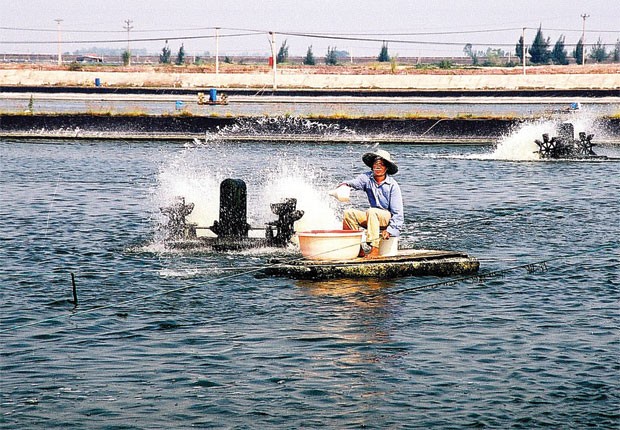 Khi bảo hiểm từ chối khách hàng ảnh 1