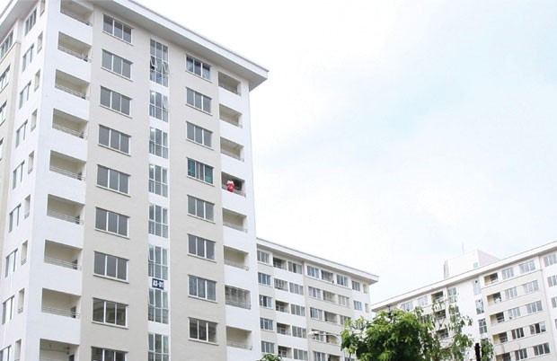 Nhà ở xã hội, “trâu chậm uống nước trong” ảnh 1