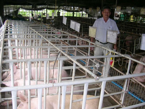 Doanh nghiệp ngoại thâu tóm ngành chăn nuôi ảnh 1