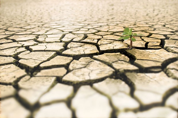 Tiêu chí bình chọn Báo cáo Phát triển bền vững  ảnh 1