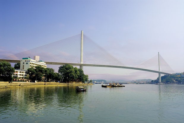 Vinaconex chủ động thay đổi để thích ứng ảnh 1