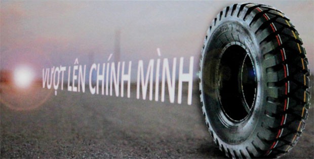 Casumina tập trung cho xuất khẩu ảnh 1 Casumina tập trung cho xuất khẩu ảnh 1