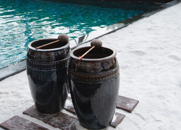 Tôn vinh giá trị xanh ảnh 1