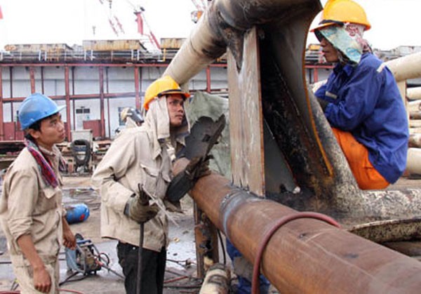 Doanh nghiệp con Vinashin nợ đọng thuế gần 285 tỷ đồng ảnh 1