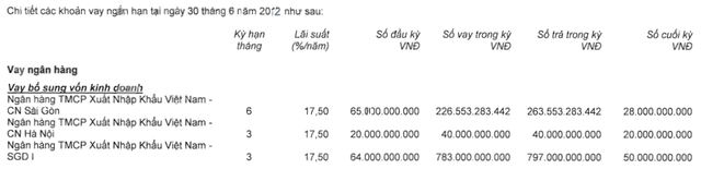 VDS: cổ đông lớn EIB cho vay ngắn hạn hàng nghìn tỷ đồng ảnh 2
