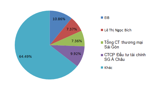 VDS: cổ đông lớn EIB cho vay ngắn hạn hàng nghìn tỷ đồng ảnh 3