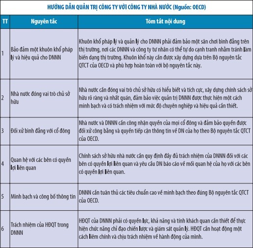 Quản trị công ty nhà nước, khoảng trống pháp lý  ảnh 2