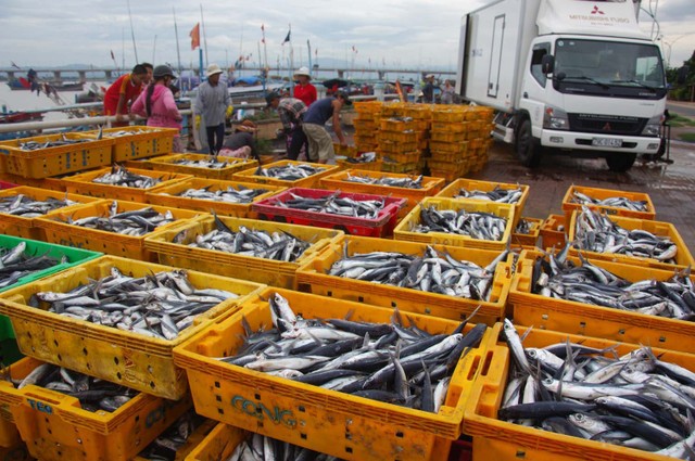 Phú Yên nổi tiếng về nuôi trồng và đánh bắt thủy hải sản.