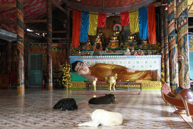 5 ngôi chùa nổi tiếng ở Sóc Trăng ảnh 5