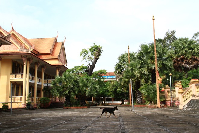 5 ngôi chùa nổi tiếng ở Sóc Trăng ảnh 25