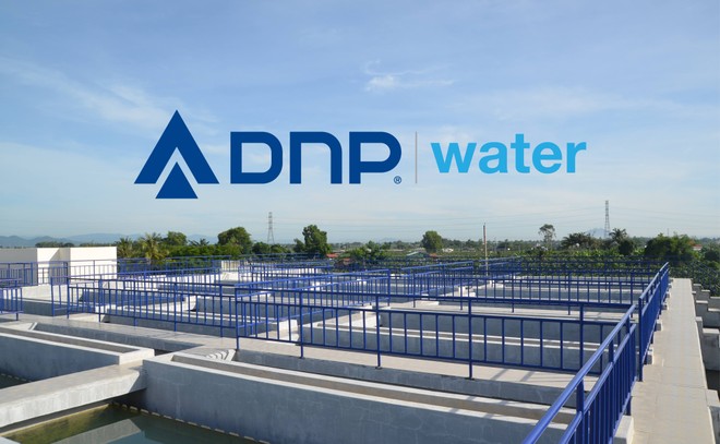 Nhựa Đồng Nai (DNP) phủ nhận liên quan đến việc thâu tóm Ninh Vân Bay (NVT) ảnh 1