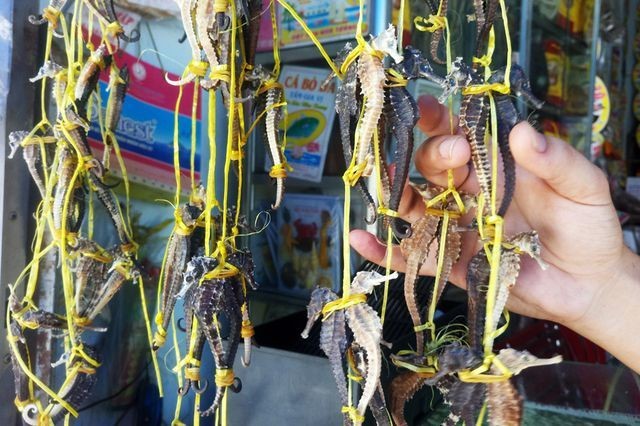 Những đặc sản Việt được ví như “thần dược” dành cho phái mạnh ảnh 2