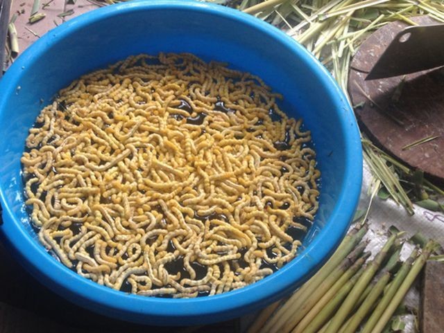 Những đặc sản Việt được ví như “thần dược” dành cho phái mạnh ảnh 3