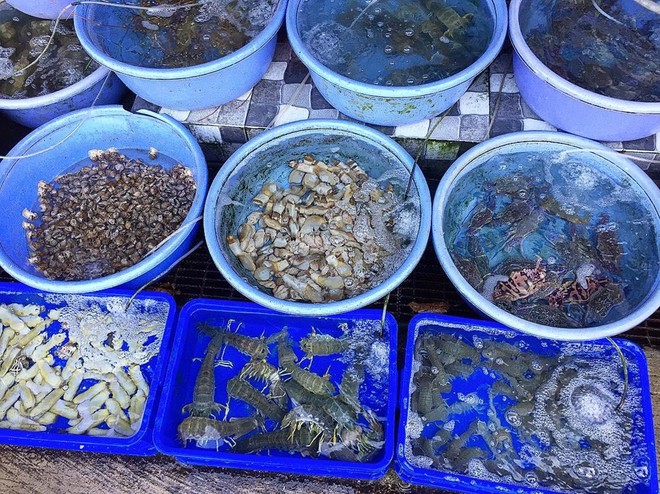 Đến Vũng Tàu dịp lễ, ghé 5 địa chỉ rộng rãi thưởng thức hải sản tươi ảnh 5