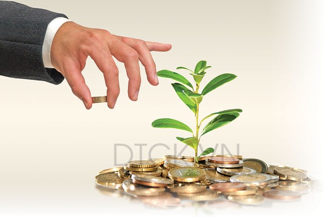 Tài chính xanh bùng nổ mở ra cơ hội cho ngành ngân hàng ảnh 1