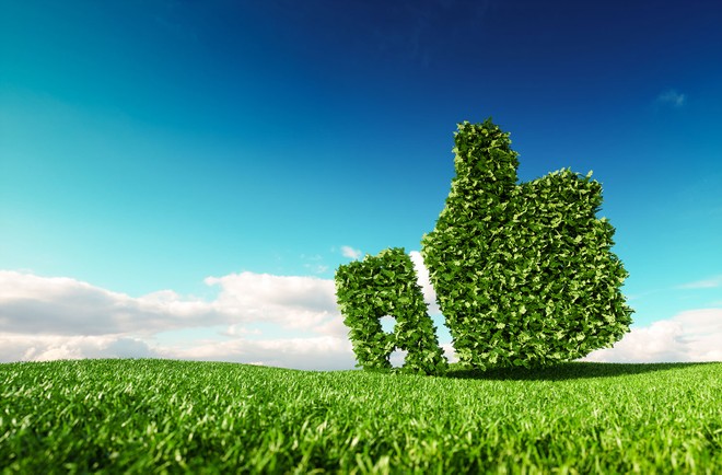 Ảnh shutterstock
