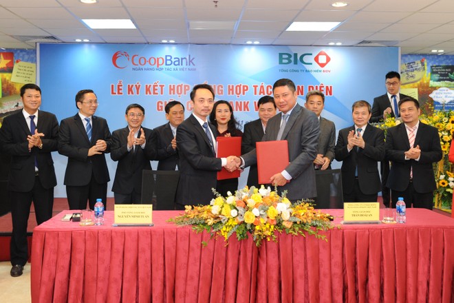 Bic Va Co Opbank Hợp Tac Toan Diện Tư Vấn Bảo Hiểm đầu Tư