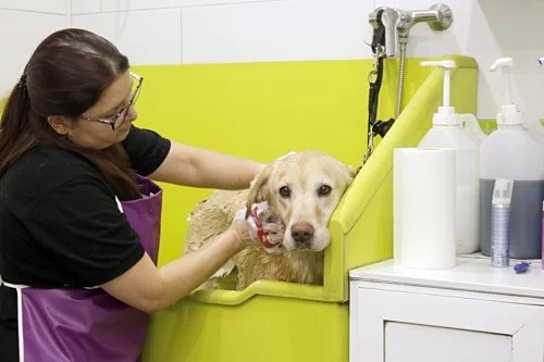 4 bước để tránh khủng hoảng tài chính khi về hưu ảnh 2