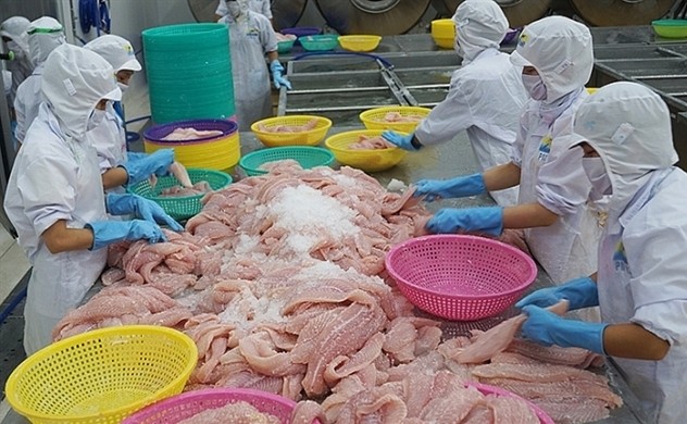Nửa đầu năm nay, Bỉ là thị trường xuất khẩu tăng trưởng khá ổn định của cá tra Việt Nam.