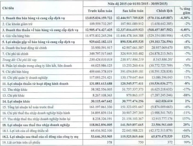 Ông Dương Ngọc Minh đã mua xong 300.000 cổ phiếu HVG, sở hữu 38% vốn ảnh 1