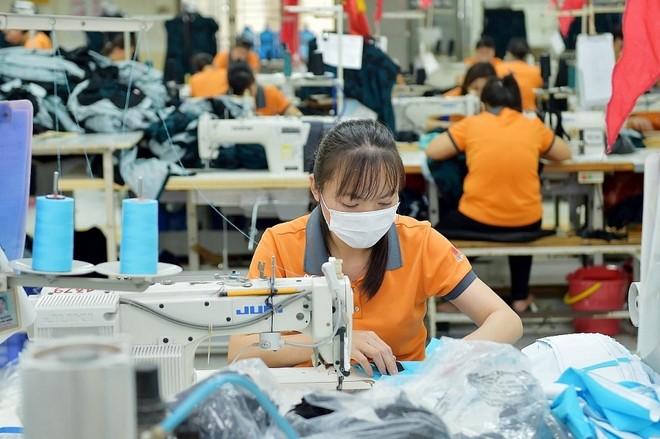 Hơn 7200 CO được cấp cho doanh nghiệp xuất khẩu vào EU hưởng ưu đãi từ khi EVFTA có hiệu lực