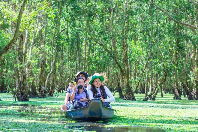 Mùa nước nổi vòng quanh thủ phủ tràm của Việt Nam ảnh 1