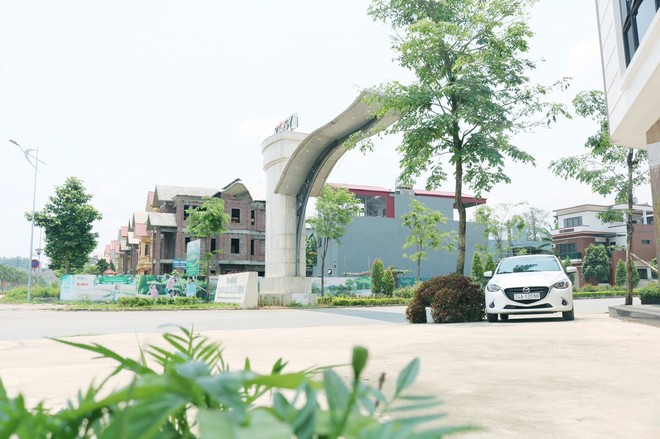 Kosy Group: Đằng sau sự thành công là một niềm tin sắt đá ảnh 1