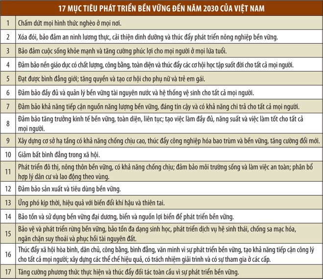 Việt Nam nỗ lực thực hiện các mục tiêu phát triển bền vững ảnh 1