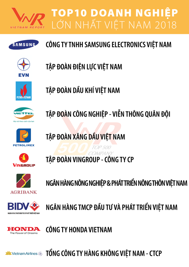Vingroup trở thành doanh nghiệp tư nhân đầu tiên vào Top 10 xếp hạng VNR500 ảnh 1