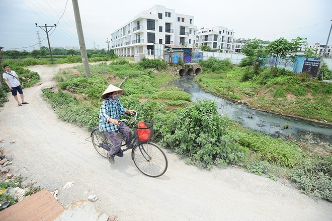 Địa ốc 7 ngày: Xôn xao “cảnh sống khốn khổ” ở biệt thự tiền tỷ