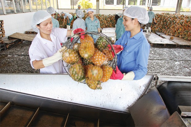 FTA không chỉ là cơ hội