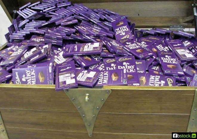 Dairy Milk muốn nuôi bò, chế biến sữa ở Vĩnh Phúc