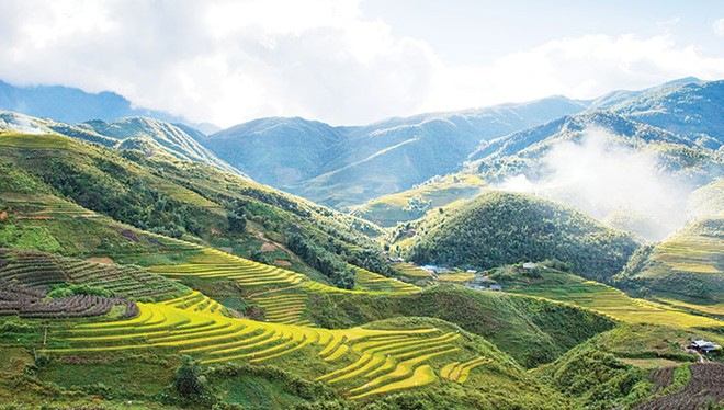 Thung lũng Mường Khương nở đầy hoa dại, thơm ngát, báo hiệu mùa Xuân đã về với vùng đất Tây Bắc