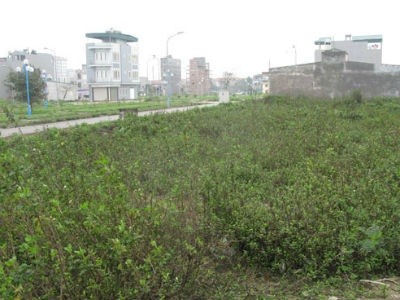 Huyện Gia Lâm đề nghị UBND Thành phố Hà Nội sớm phê duyệt mức giá khởi điểm để làm cơ sở đấu giá đất (Ảnh minh hoạ)