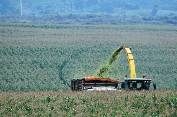 Việt Nam có tiềm năng rất lớn trong hợp tác phát triển nông nghiệp. Ảnh: Đức Thanh