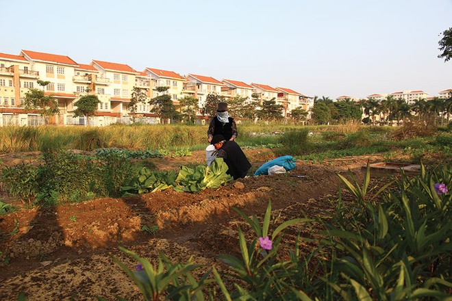 Thời gian tới, khả năng nhiều dự án bất động sản sẽ phải tạm dừng để kiểm tra lại việc thực hiện quy hoạch - Ảnh: Hoài Nam