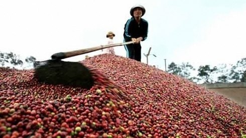 Hàng trăm tấn hàng Việt Nam chuẩn bị “đổ bộ” sang Liên bang Nga