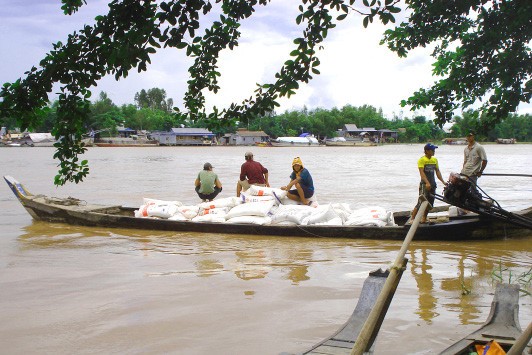 Buôn lậu đường trên biên giới Tây Nam